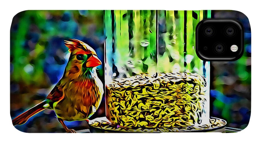 Bird iPhone 11 Case featuring the photograph Cardinal At Feeder by Leslie Revels