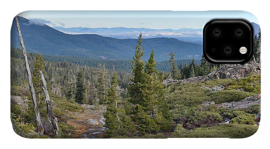 Castle Lake Trail iPhone 11 Case featuring the photograph Castle Lake Trail by Maria Jansson