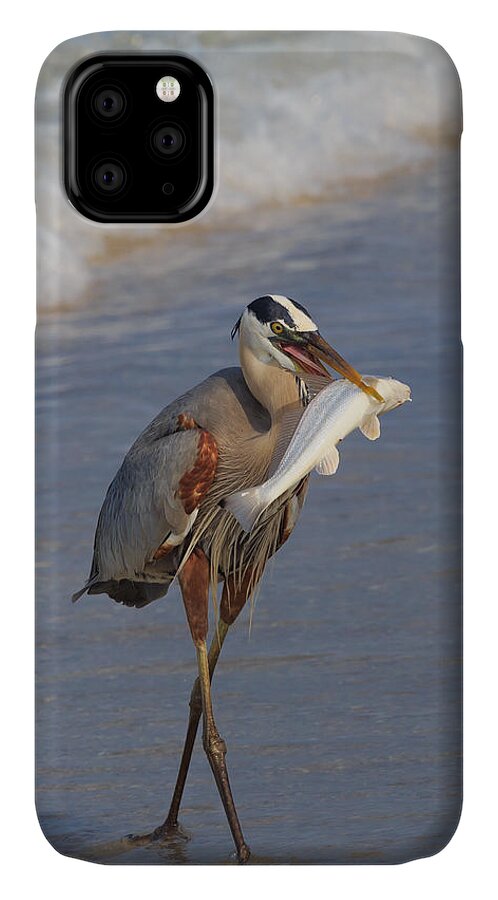 Florida iPhone 11 Case featuring the photograph Catch of The Day by Paul Schultz