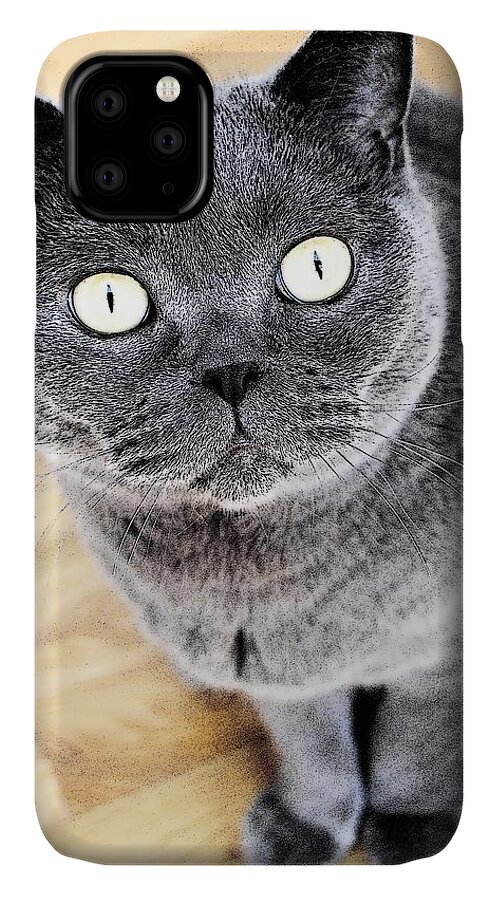 Cat iPhone 11 Case featuring the photograph Cat's Eyes by Nina-Rosa Dudy