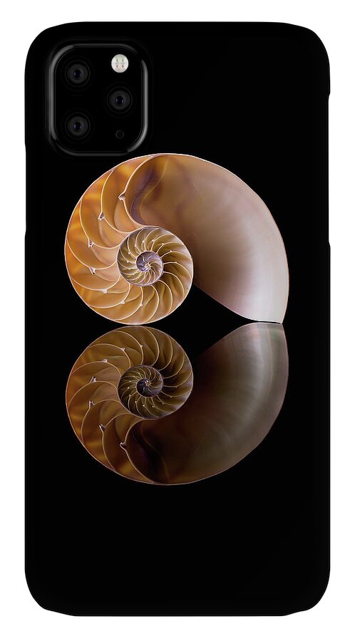 Sea Shell iPhone 11 Case featuring the photograph Chambered Nautilus by Jim Hughes