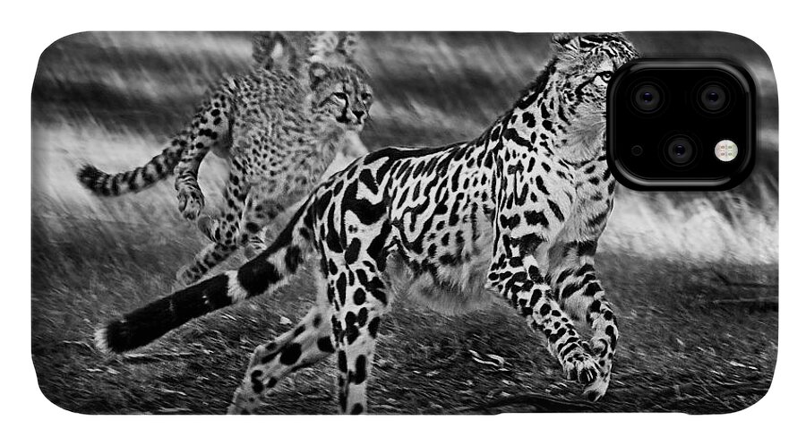 #cheetah iPhone 11 Case featuring the photograph Chasing mum by Miroslava Jurcik