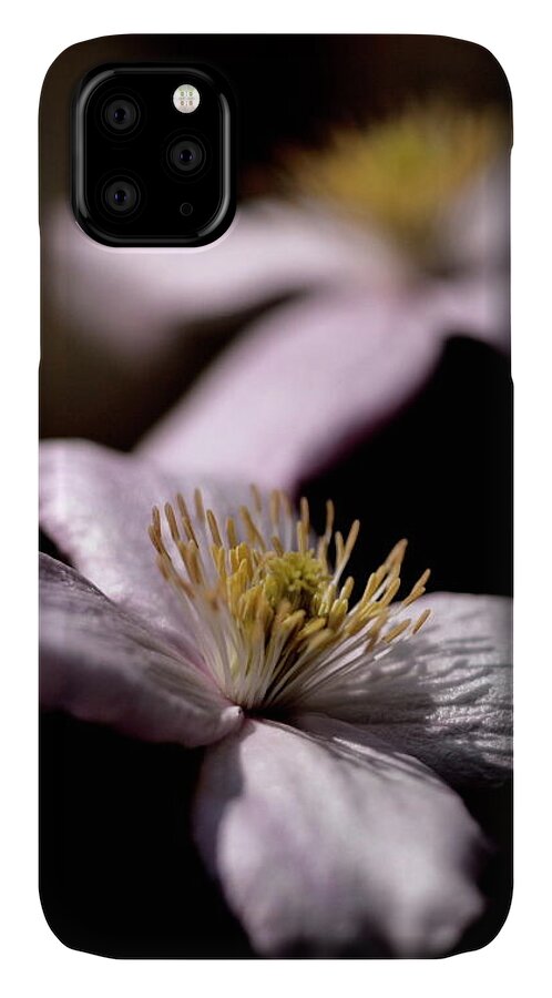 Clematis Flower Garden White Bokeh Fade On-black iPhone 11 Case featuring the photograph Clematis by Ian Sanders