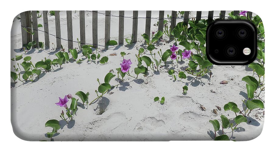 Sand iPhone 11 Case featuring the photograph Coastal Flowers by Dorothy Cunningham