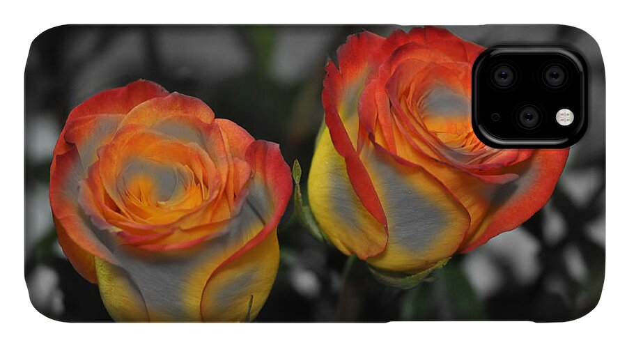 Flower iPhone 11 Case featuring the photograph Color Tips by Teresa Blanton