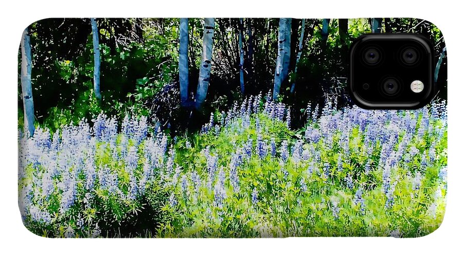 United States iPhone 11 Case featuring the photograph Colorado Apens and Flowers by Joseph Hendrix