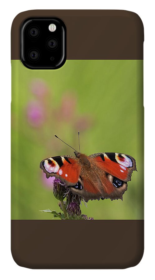Nature iPhone 11 Case featuring the photograph Colours of Summer by Wendy Cooper