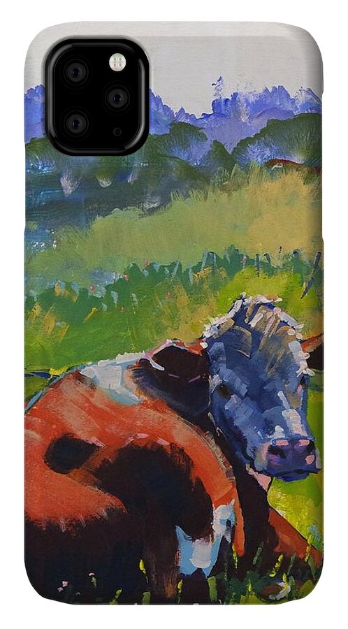  iPhone 11 Case featuring the drawing Cow Lying Down On A Sunny Day by Mike Jory