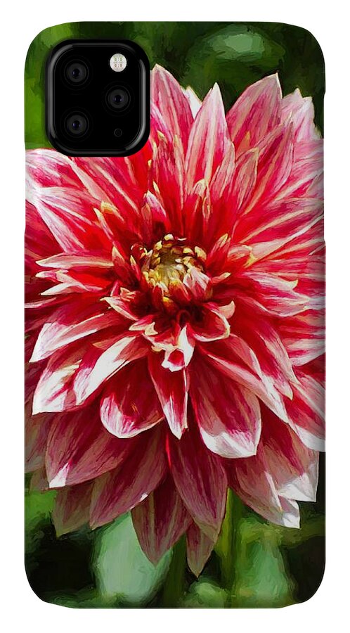 Flower iPhone 11 Case featuring the digital art Dahlia 3 by Charmaine Zoe