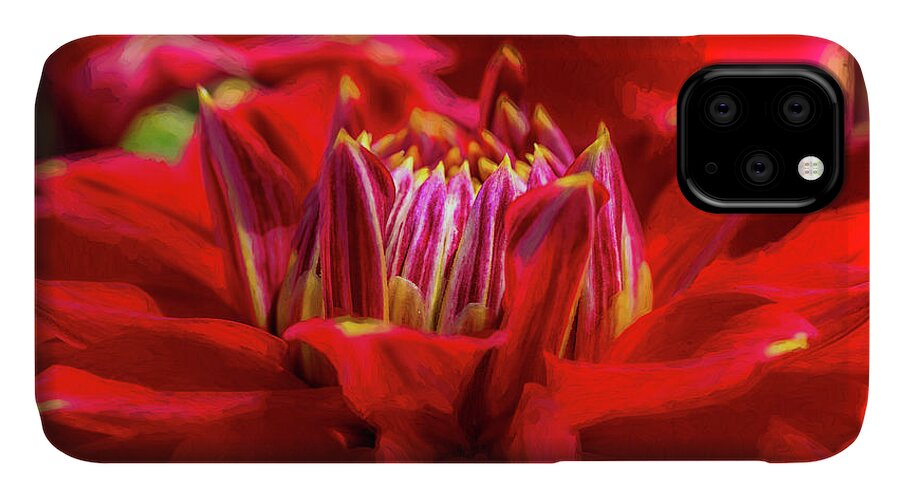 Dahlia iPhone 11 Case featuring the photograph Dahlia Study 1 Painterly by Scott Campbell