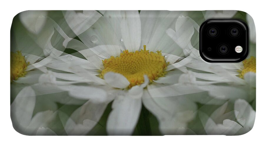 Daisy iPhone 11 Case featuring the photograph Daisy Dreams In White by Smilin Eyes Treasures