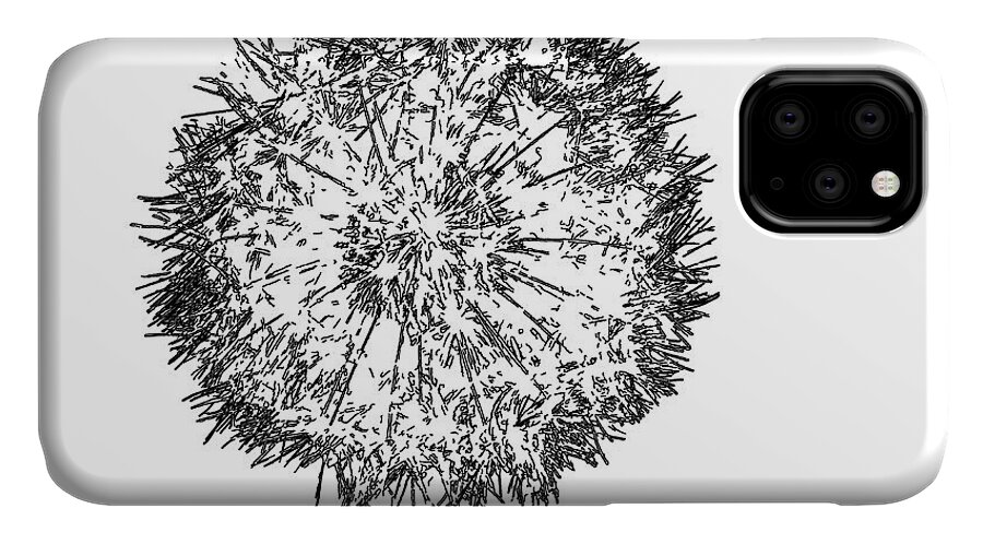 Digital Art iPhone 11 Case featuring the photograph Dandelion by Ludwig Keck