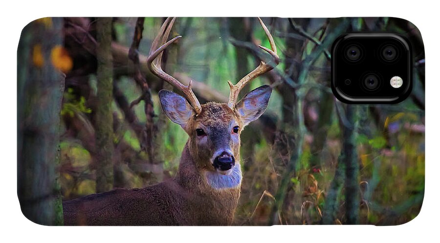  iPhone 11 Case featuring the photograph Deer by Tony HUTSON