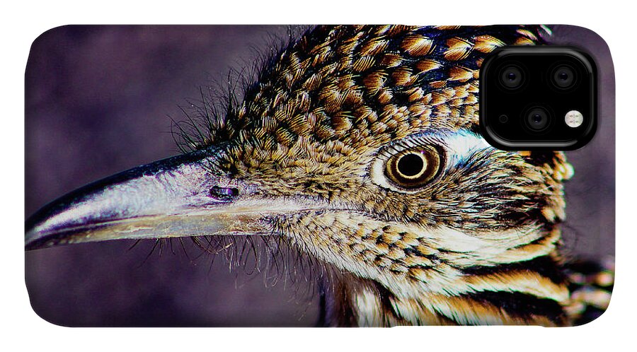 Bird iPhone 11 Case featuring the photograph Desert Predator by Adam Morsa
