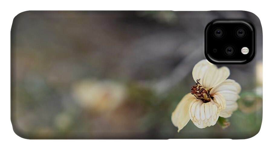 Flower iPhone 11 Case featuring the photograph Detail by Melisa Elliott