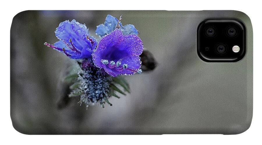  iPhone 11 Case featuring the photograph Dew Drops by Kuni Photography