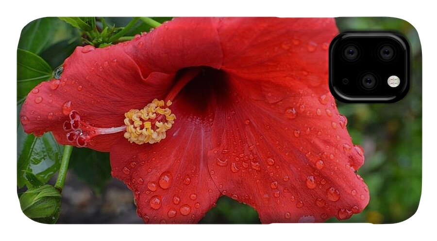 Flowers iPhone 11 Case featuring the photograph Dew on flower by Charles HALL