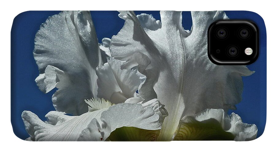 Flowers iPhone 11 Case featuring the photograph Did Not Evolve by Diana Hatcher