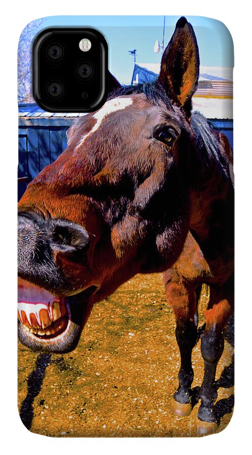 Horse iPhone 11 Case featuring the photograph Do You Have a Treat For Me? by Cindy Schneider