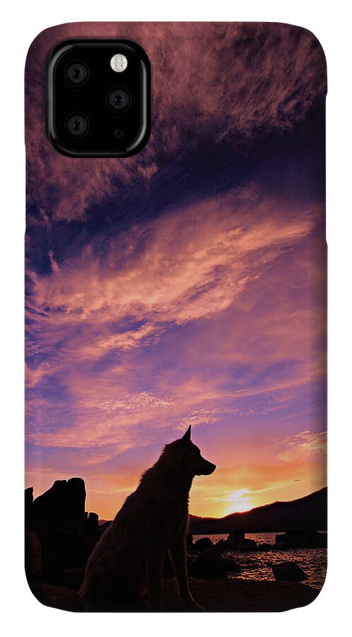 Dogs iPhone 11 Case featuring the photograph Dogs Dream Too by Sean Sarsfield
