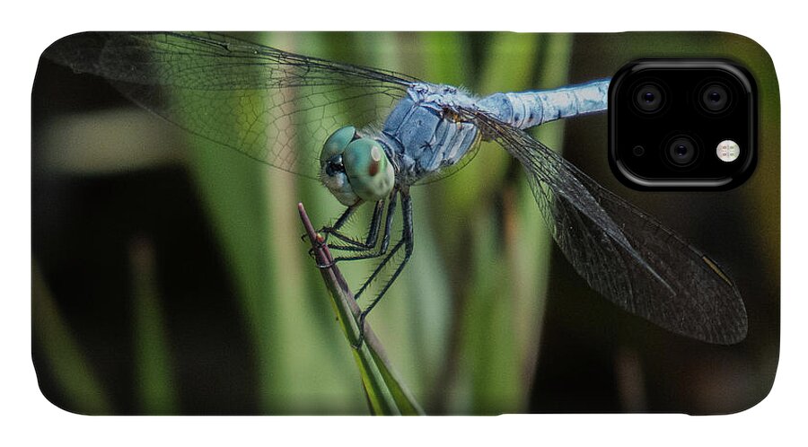 Dragonfly iPhone 11 Case featuring the photograph Dragonfly 13 by Christy Garavetto