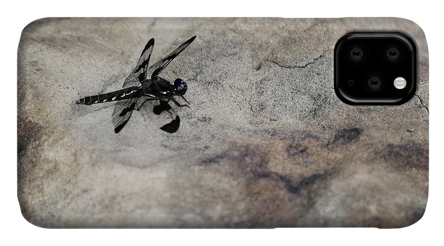 Dragonfly iPhone 11 Case featuring the digital art Dragonfly on Solid Ground by Brad Thornton