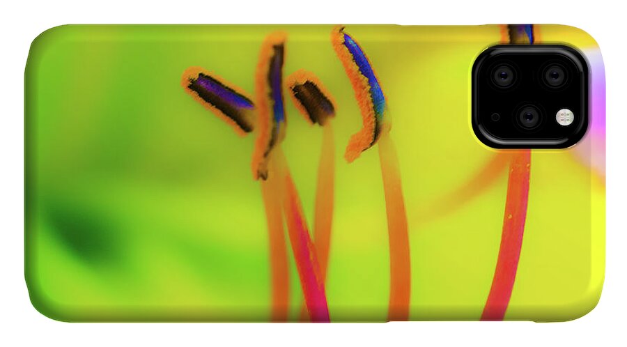 Cleveland Botanical Gardens iPhone 11 Case featuring the photograph Dreamy Daylily by Stewart Helberg