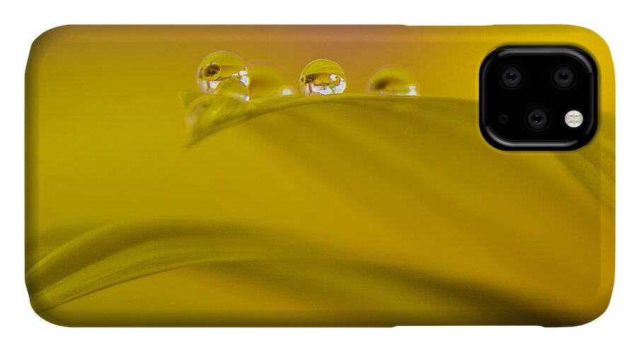 Sunflower iPhone 11 Case featuring the photograph Drops resting on a leaf by Wolfgang Stocker