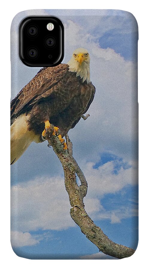 Eagle iPhone 11 Case featuring the photograph Eagle Eyes by William Jobes