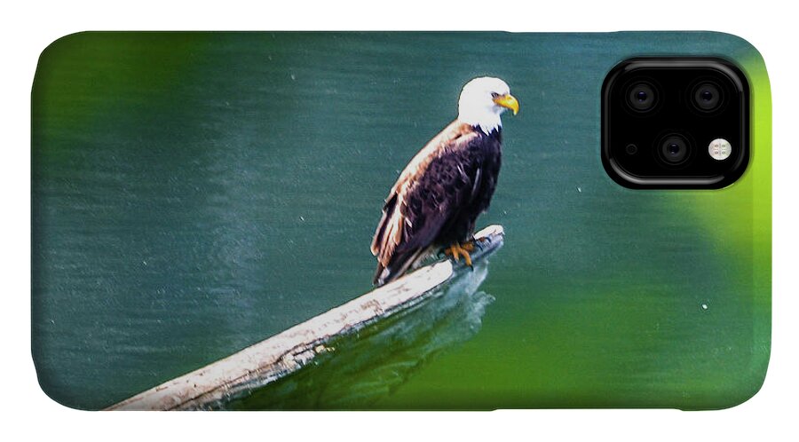 Eagle iPhone 11 Case featuring the photograph Eagle in Lake by Chuck Brown