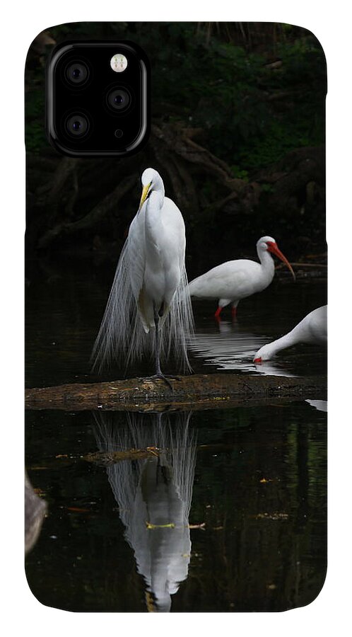 Great White Egret iPhone 11 Case featuring the photograph Egret Reflection by Barbara Bowen