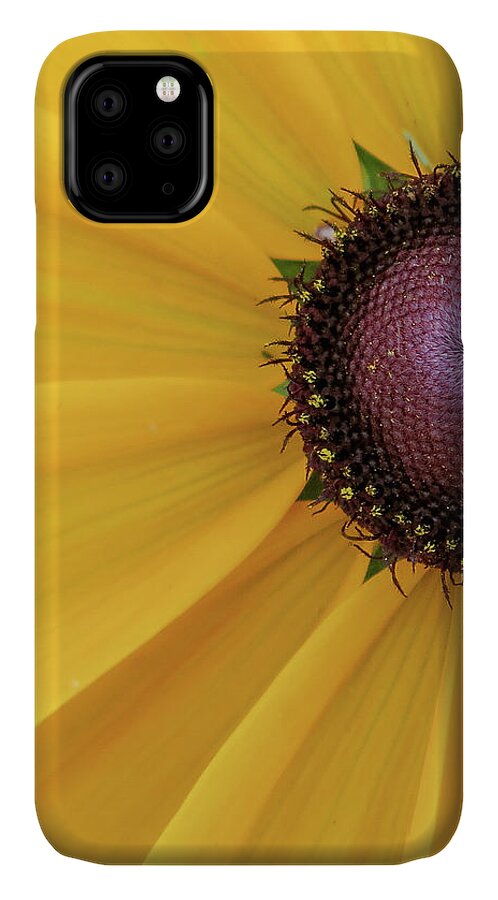 Ebd iPhone 11 Case featuring the photograph Enter Stage Left by David Coblitz
