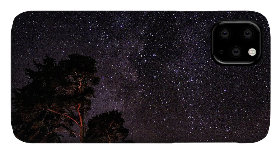 Stars iPhone 11 Case featuring the photograph Eucalyptus Galaxy by Adam Morsa