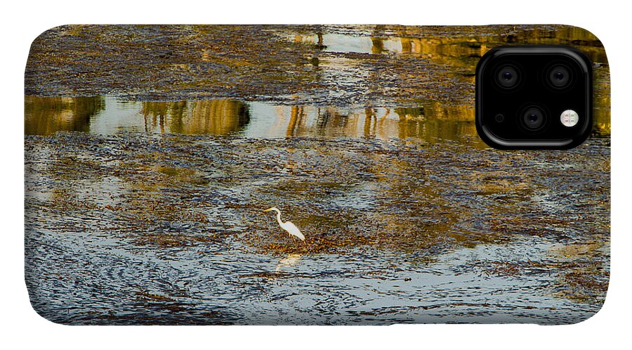 Egret iPhone 11 Case featuring the photograph Evening Reflections in Carmel by Venetia Featherstone-Witty