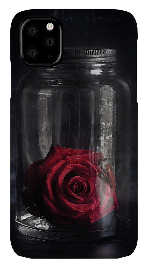 Rose iPhone 11 Case featuring the photograph Ever After by Amy Weiss