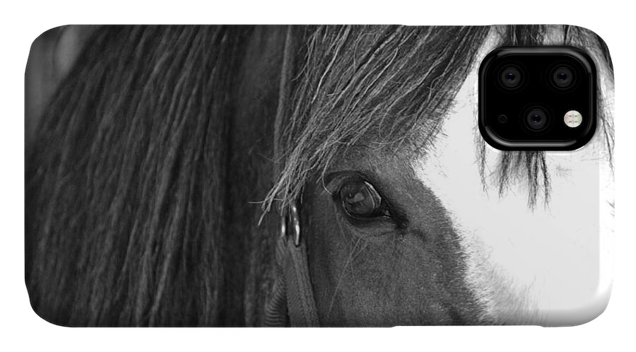 Horse iPhone 11 Case featuring the photograph Eyes by Traci Cottingham