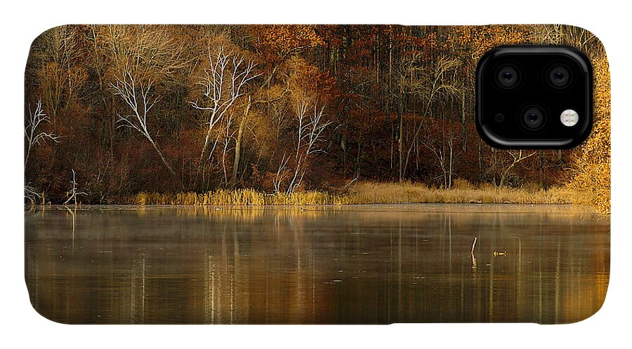 Lake iPhone 11 Case featuring the photograph Fall Cove by Thomas Young