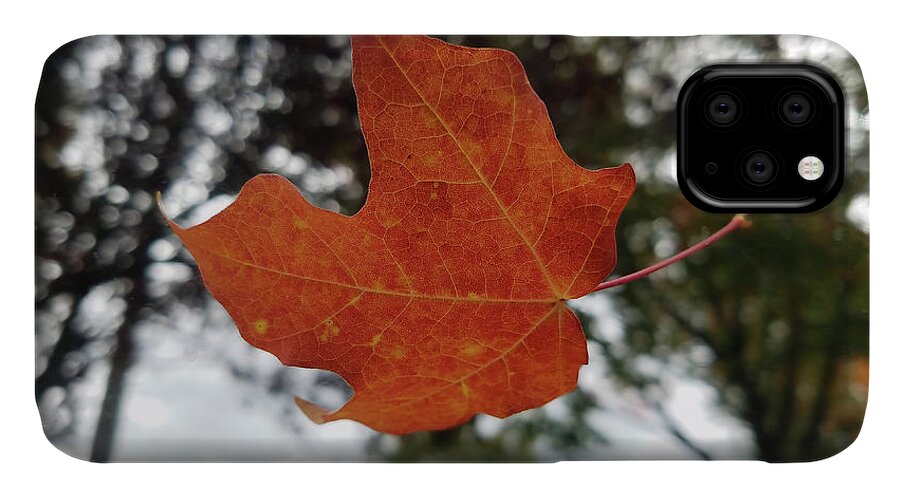 Fall iPhone 11 Case featuring the photograph Fall Leaf by Scenic Edge Photography