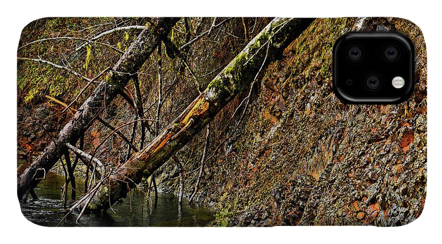 Riverscape iPhone 11 Case featuring the photograph Fallen Friends 2 by Jason Brooks