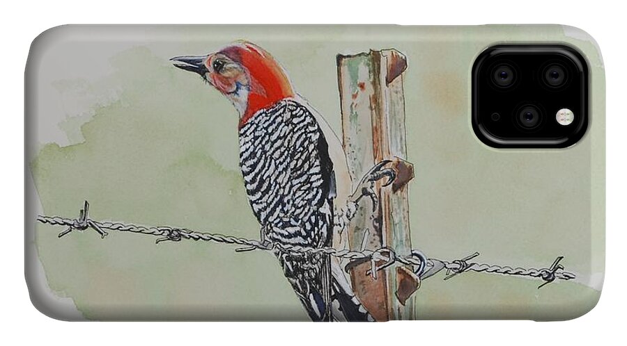 Woodpecker iPhone 11 Case featuring the mixed media Fence Sitting by Sonja Jones