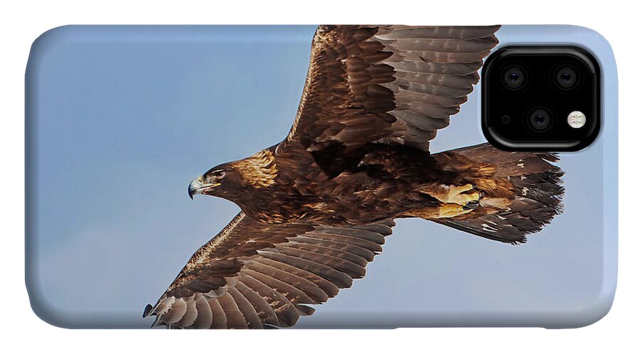 Golden Eagle iPhone 11 Case featuring the photograph Flight of the Golden Eagle by Mark Miller