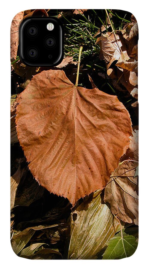 Leaf iPhone 11 Case featuring the photograph Floating Leaf by Mike Evangelist