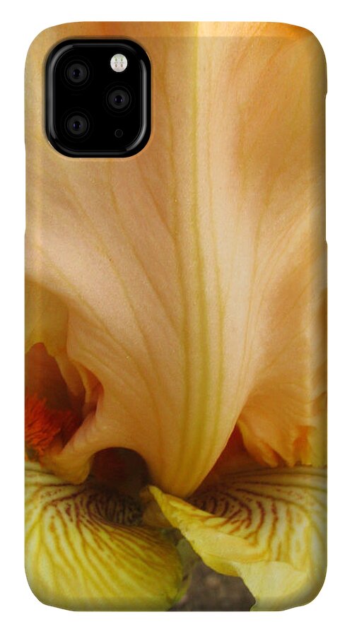 Yellow iPhone 11 Case featuring the photograph Flowerscape Yellow Iris One by Laura Davis
