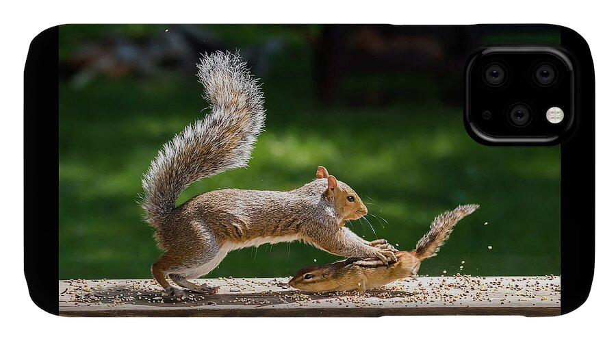 Terry D Photography iPhone 11 Case featuring the photograph Food Fight Squirrel and Chipmunk by Terry DeLuco