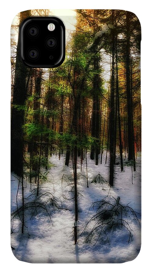 Forest iPhone 11 Case featuring the photograph Forest Dawn by John Meader