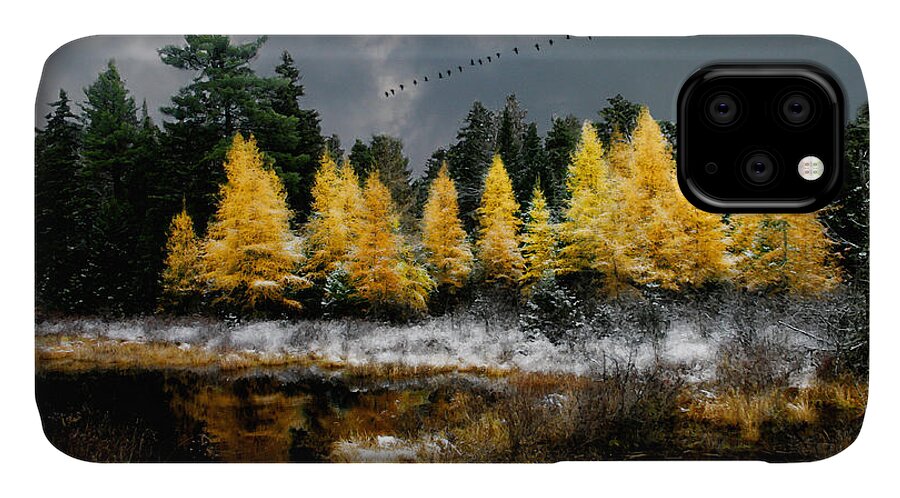 Larch iPhone 11 Case featuring the photograph Geese Over Tamarack by Wayne King
