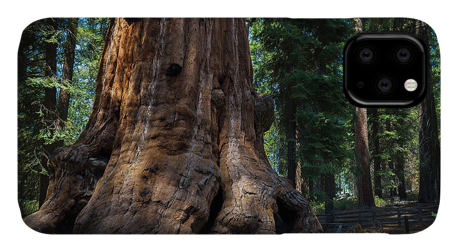 Laura Roberts iPhone 11 Case featuring the photograph Gentle Giant by Laura Roberts