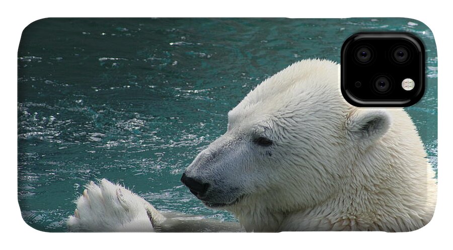 Polar Bear iPhone 11 Case featuring the photograph Giving thanks by David Barker