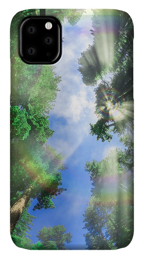 Metal Print iPhone 11 Case featuring the photograph Glory Amongst Redwoods by Scott Campbell