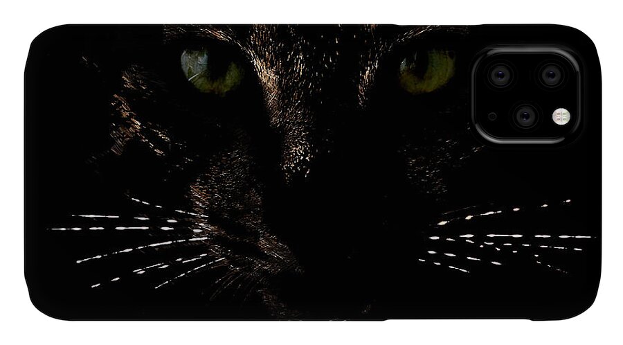 Animal iPhone 11 Case featuring the photograph Glowing whiskers by Helga Novelli